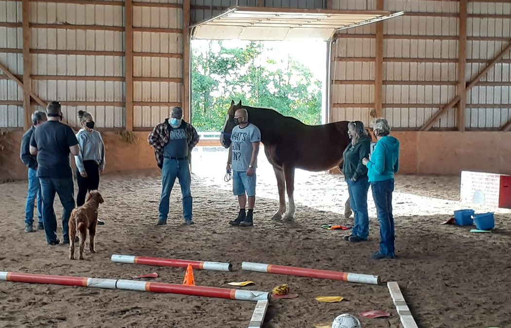 Equine Assisted Learning Program